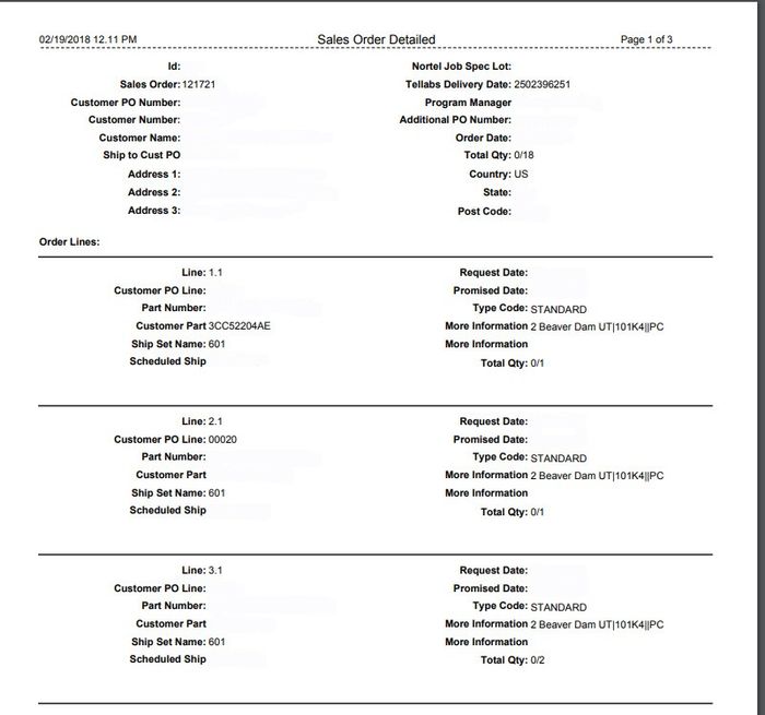 Sales Order Report(1)